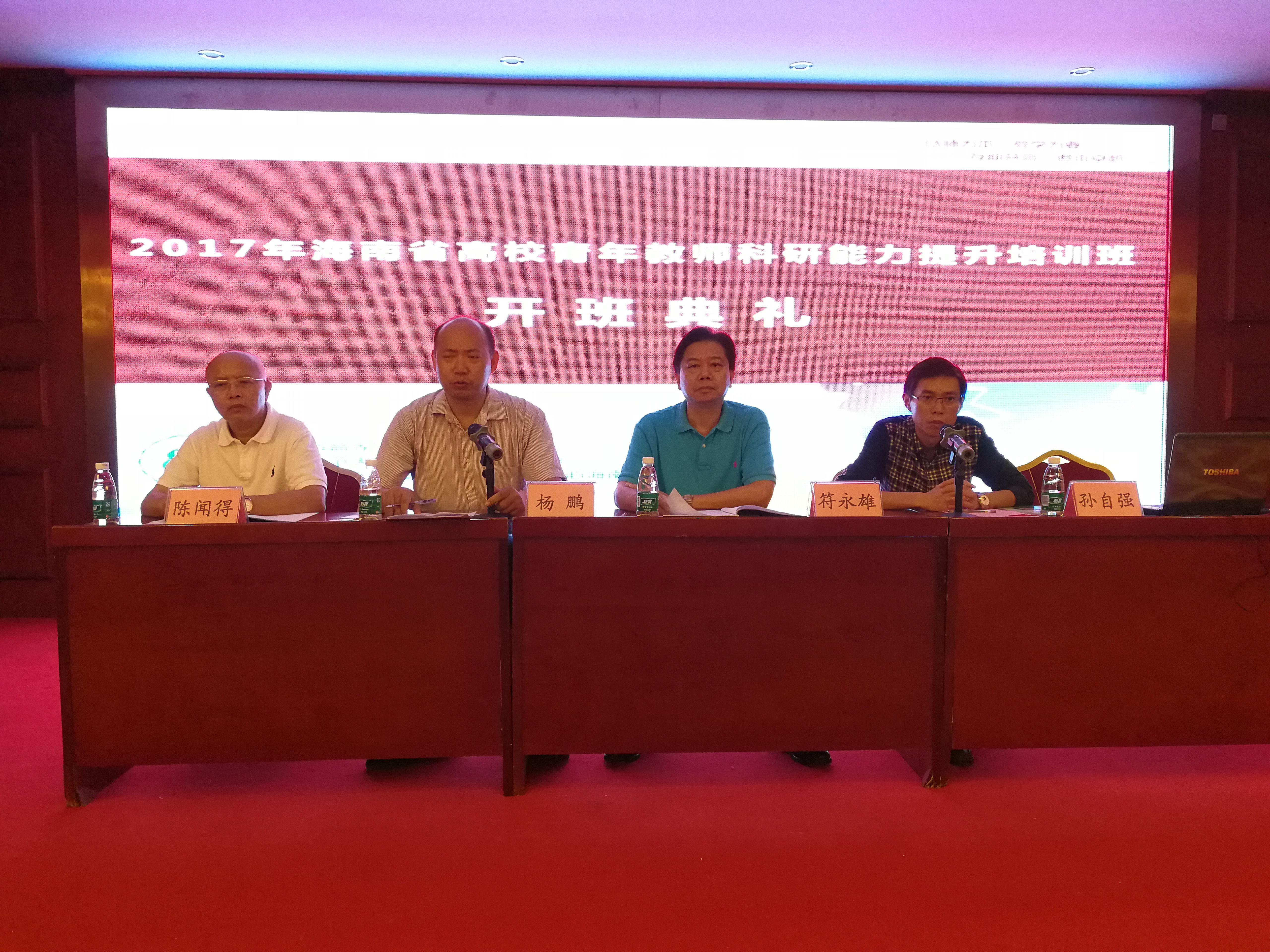 海南省高校青年教师科研能力提升培训班